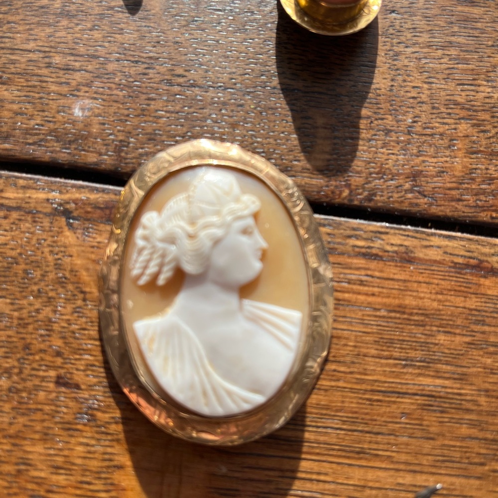 Vintage Cameo Brooch with Gold Frame